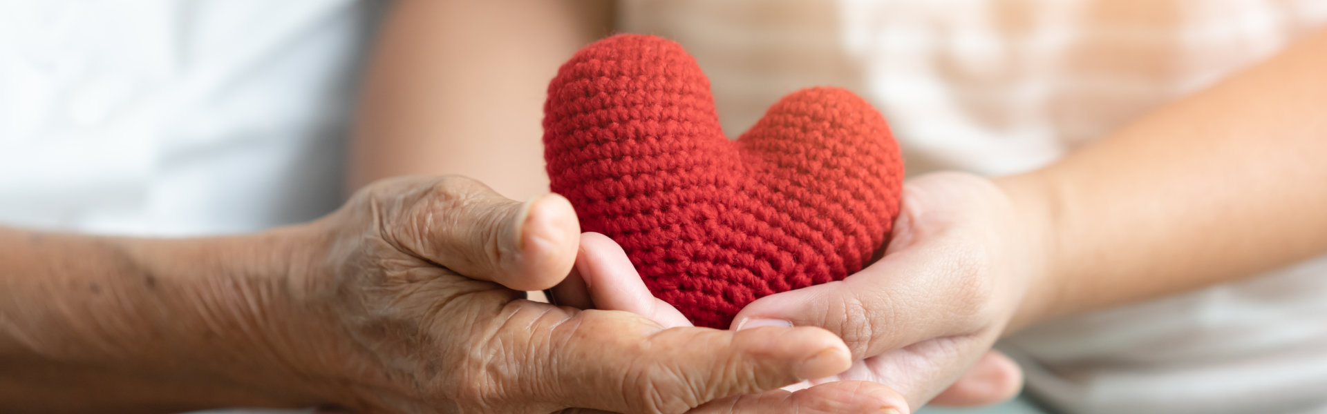 heart on the palm